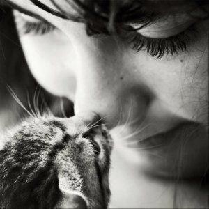 fc52b7abc2968b0f146f3b9e95a8531e