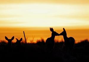 391662_4863083422834_18308182_n