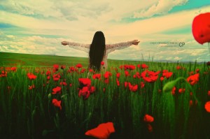 beauty-of-life-330186