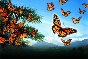 568EFE16-C0BA-4225-9019-0672E9940B76