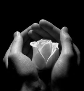 10805737_403097446510091_6234060386226588324_n