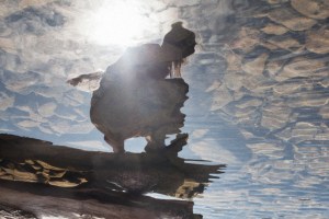 5756381959_5f0958d556_o