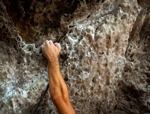 o-RESILIENCE-facebook