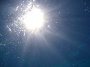 d7a8396cbe1a5f7580adc2fc66e47c0a