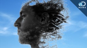 dnews--0821--dnews-821-y-chromosome--large.thumb