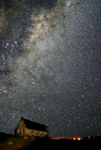 Lilly_cupcake123.36791