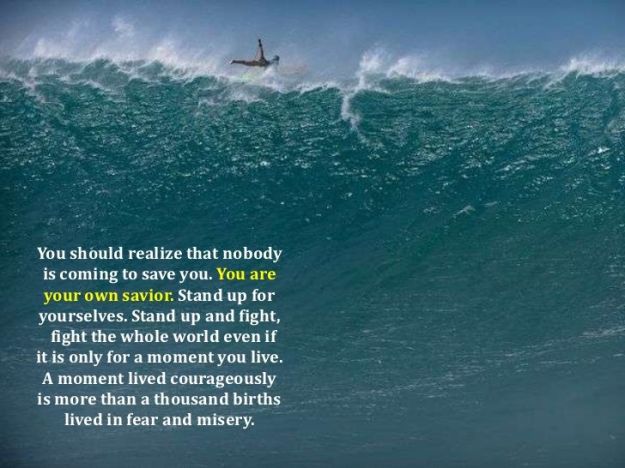 90321369e21c69a2900ff24089f00680