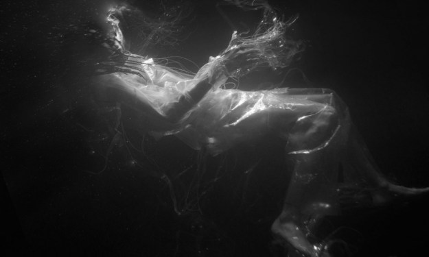 a0359889003_10-1000x600