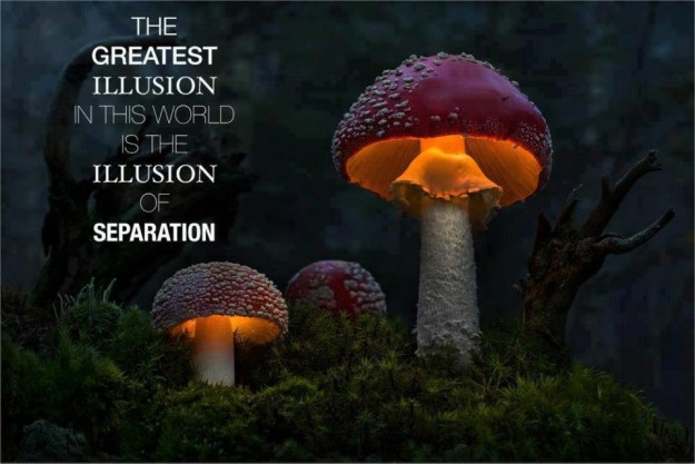 the-subtle-levels-of-human-thinkingand-beyond-4