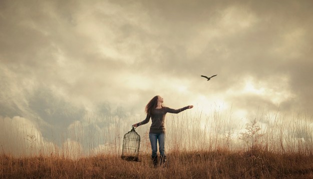 6612962913_267c071a69_b