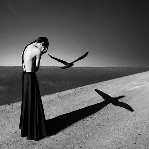 12353198_640550122754192_276084155_n