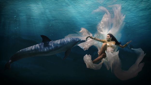 5355b3a8cde2611cf7ef90f639cd5349