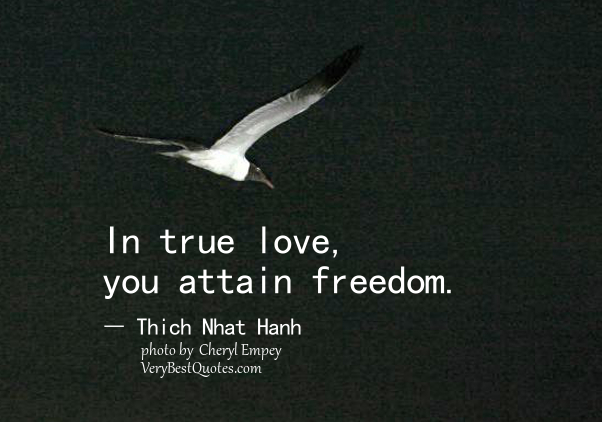 true-love-quotes-in-true-love-you-attain-freedom-quotes-thich-nhat-hanh-quotes