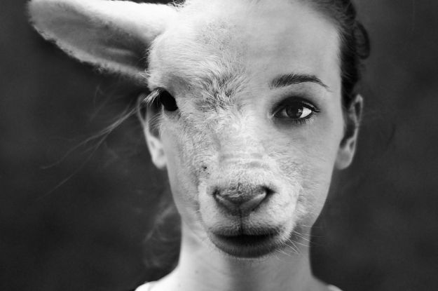 1f5d5919bc267b78be8d3de209f812e7