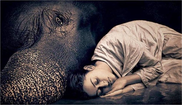 gregory-colbert3