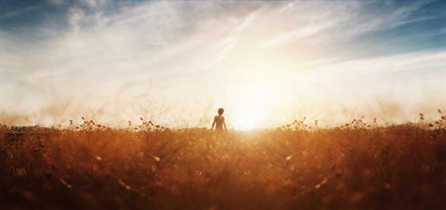 16280554115_5cbe4f6d27_b