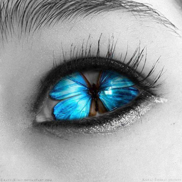 710ca9f0ea22b3c02f932e97fe97bbdb