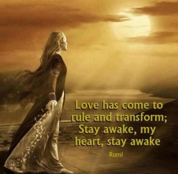 0868406663a25a72dc29f653b1720987