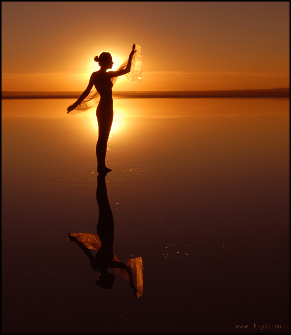 46e0896f4616b&amp;filename=102