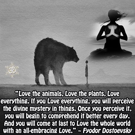 dbf8fa51187a77d443d54cbd8a59cc19