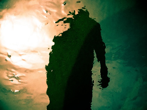 5650800472_5761a48fb0