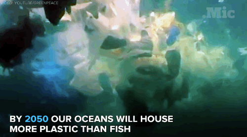 tumblr_o1xu4vUIDK1v53vrbo1_500