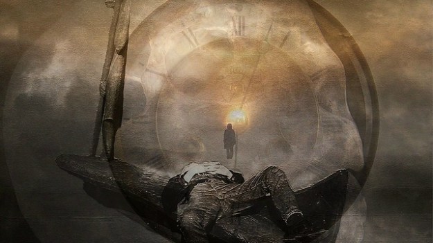 medium_2513509197-640x360