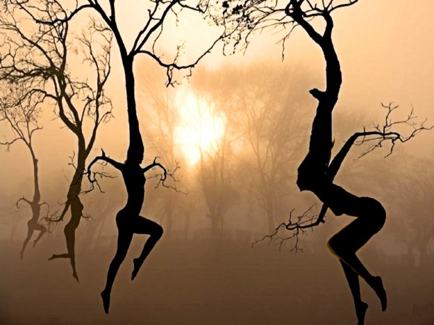 UnHzEqw5HbbymWO1-UP_--USF21HnGYjqeGuMtlXBO_BdUmP6IkROWhtuBj0ziasY4zOm50_TL9xcOQ=w1600-h1200-no