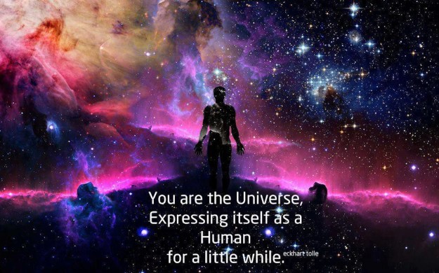 3870728-you-are-the-universe-expressing-itself