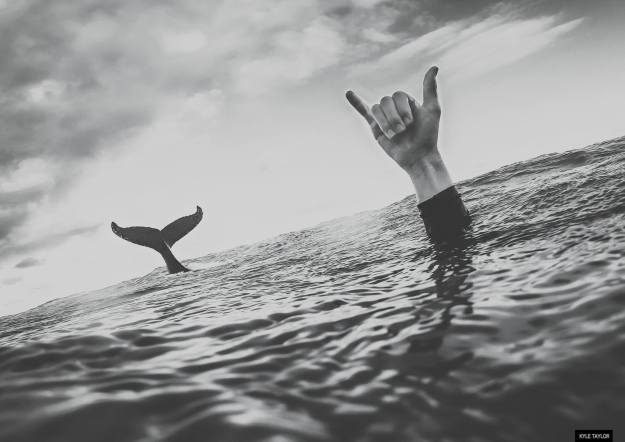 b036b93ac93f11fe29508fbabe168541