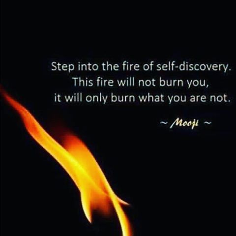 13437244_259912717709003_1247539095_n