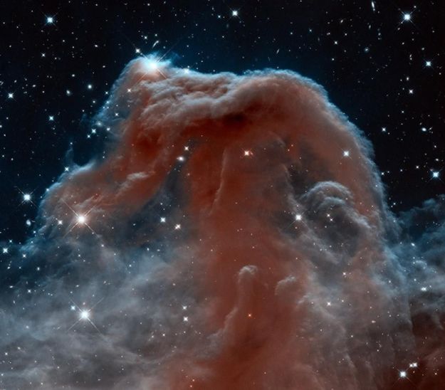 horseheadnebula