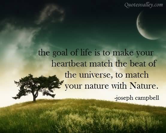 the-goal-of-life-is-to-make-your-heartbeat-match-the-beat-of-the-universe-to-match-your-nature-with-nature-11