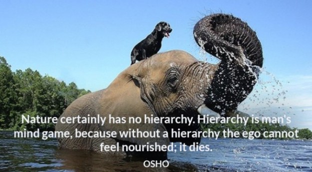 25d3607669261798113b24d400f99055-672x372