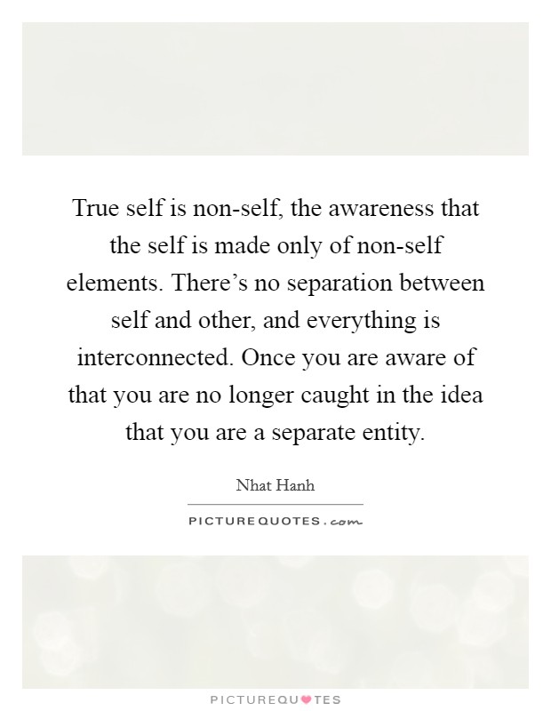 true-self-is-non-self-the-awareness-that-the-self-is-made-only-of-non-self-elements-theres-no-quote-1