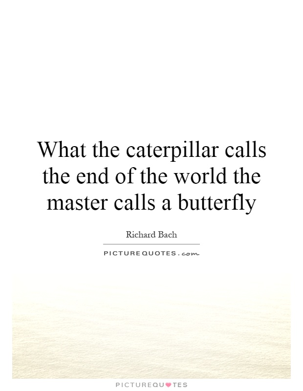 what-the-caterpillar-calls-the-end-of-the-world-the-master-calls-a-butterfly-quote-1