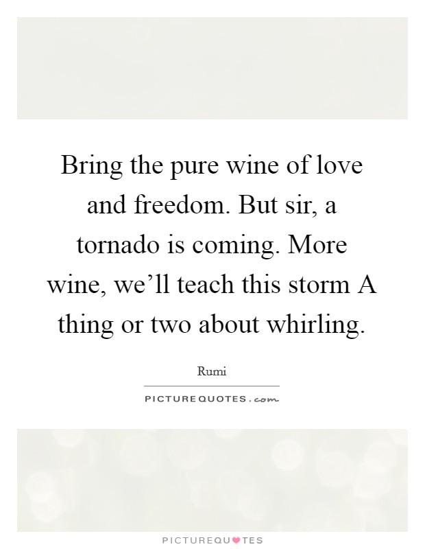 bring-the-pure-wine-of-love-and-freedom-but-sir-a-tornado-is-coming-more-wine-well-teach-this-storm-quote-1
